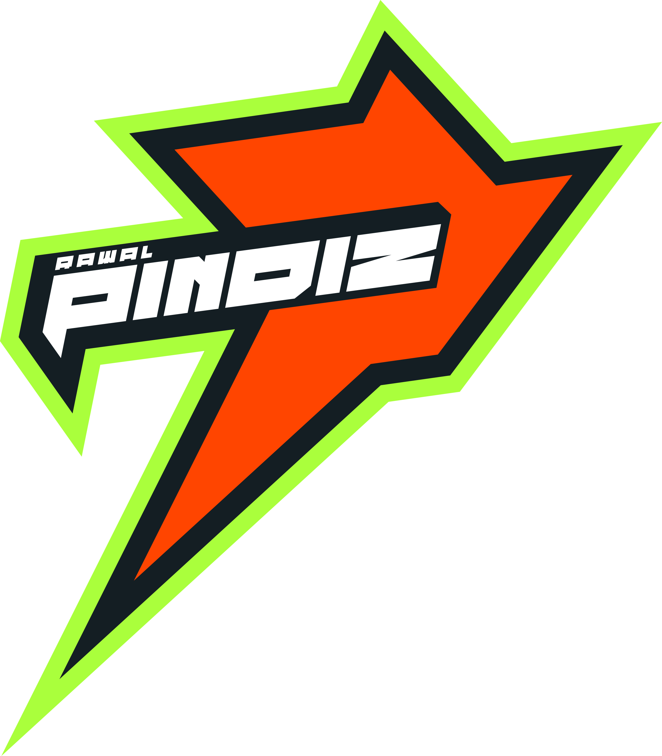 Rawalpindiz logo